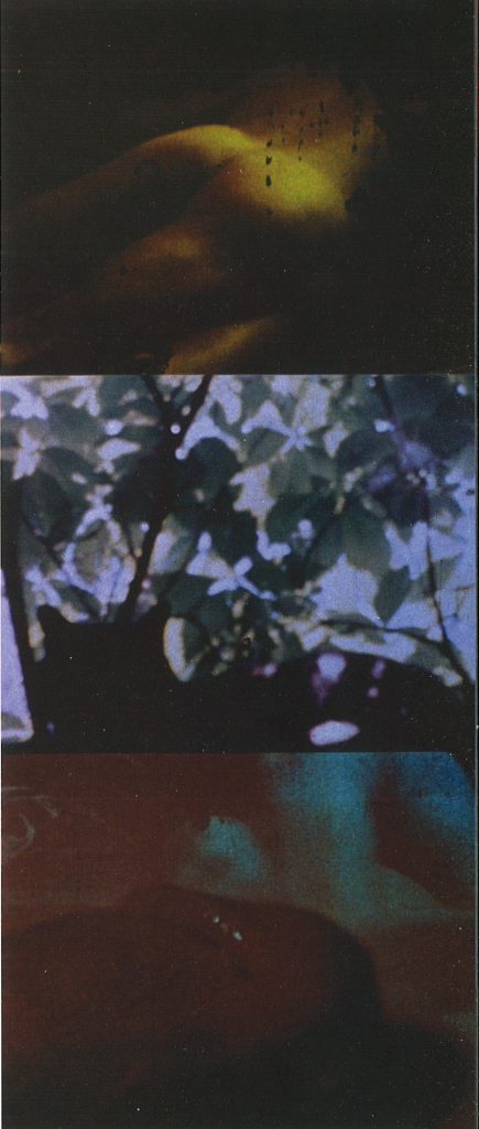 Fig. 2: Carolee Schneemann, Fuses, 1964–1966, Selfshot 16 mm film, color, silent, 30 min. Digital Video stills.